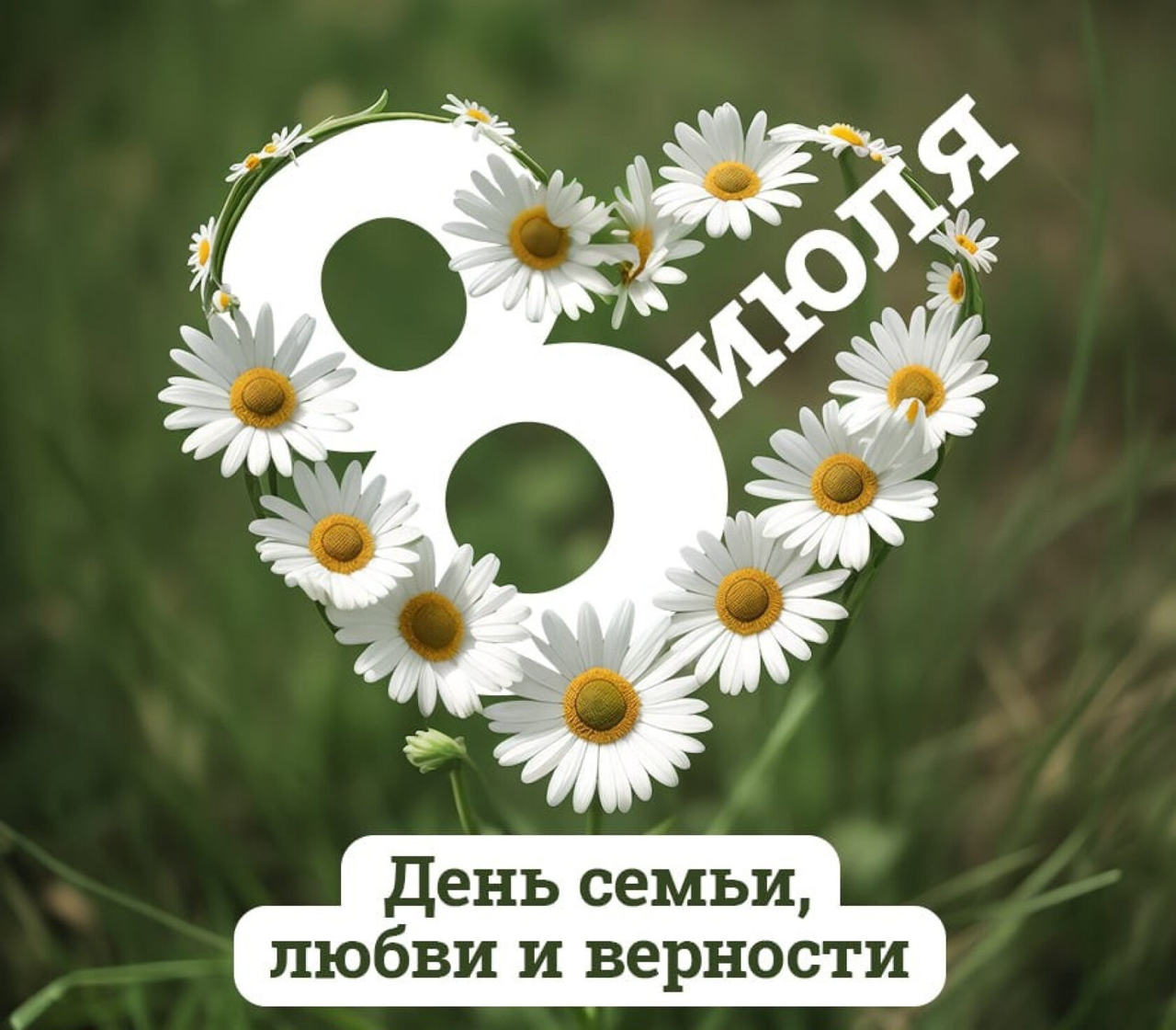 День семьи, любви и верности в Воронеже – 8 июля 2025: программа мероприятий