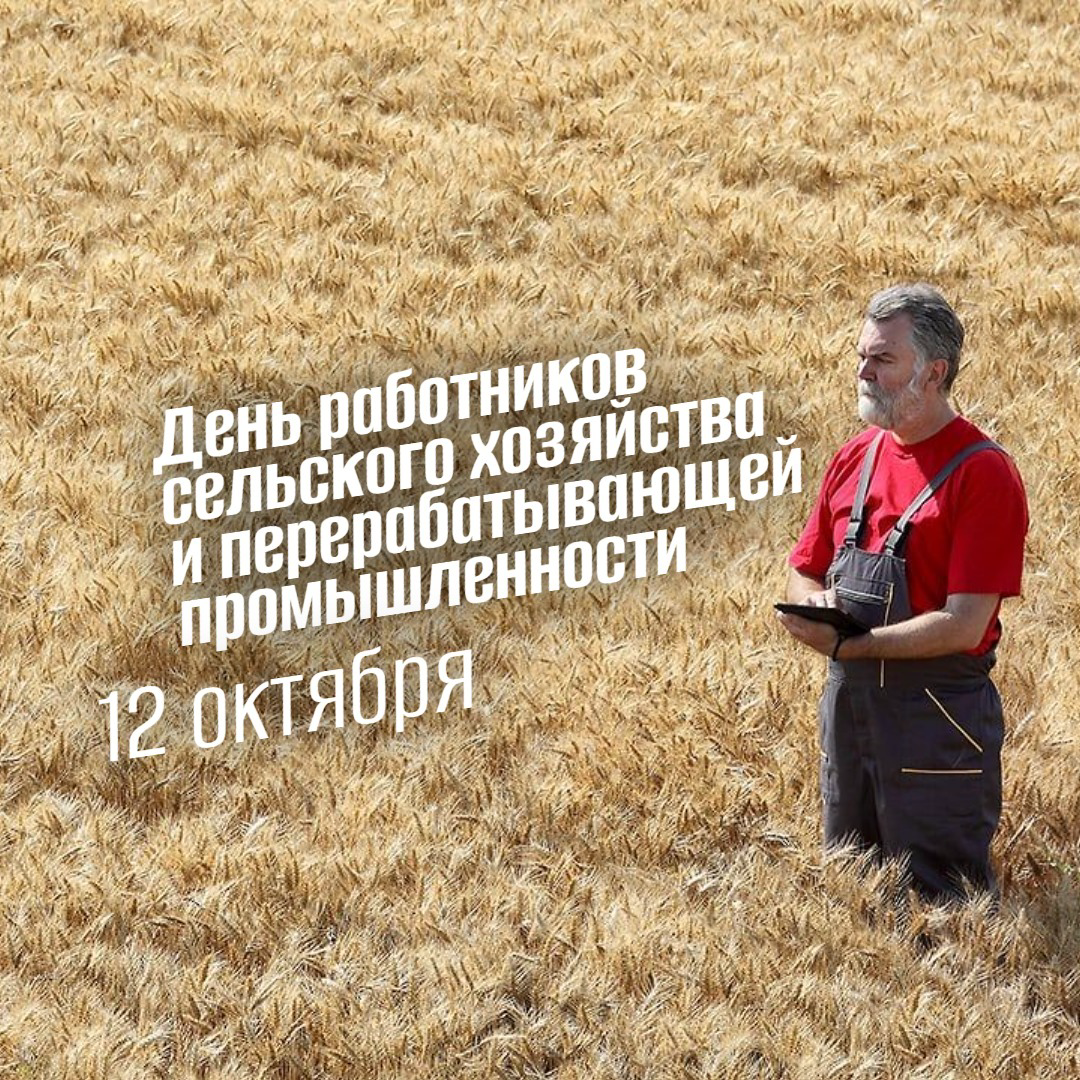 День работников сельского хозяйства и перерабатывающей промышленности 2025: Дата, история и почему этот праздник важен для каждого из нас
