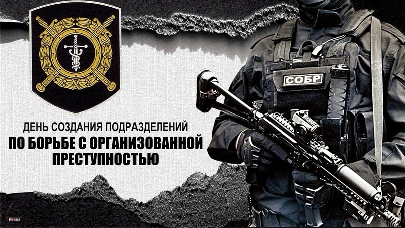 15 ноября День образования подразделений по борьбе с организованной преступностью в России: история создания.
